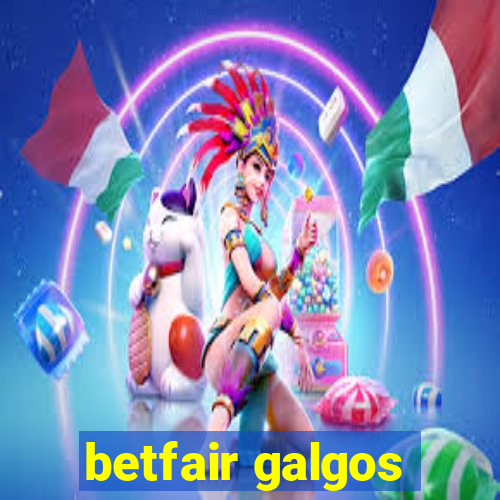 betfair galgos